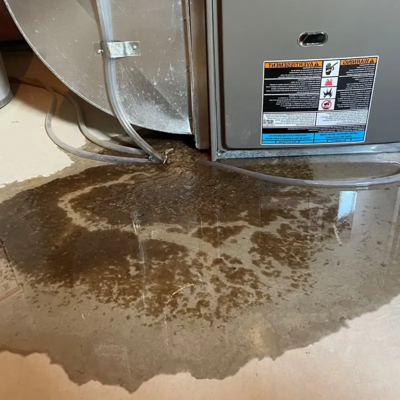 Pipe Burst and Leak Restoration in Armonk, NY